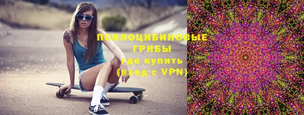 дживик Каменногорск