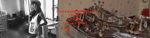 дживик Каменногорск