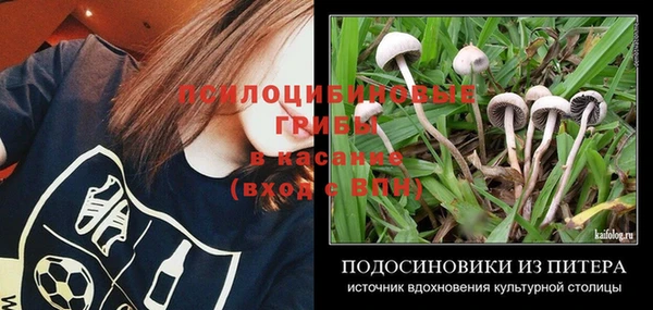 дмт Каменск-Шахтинский