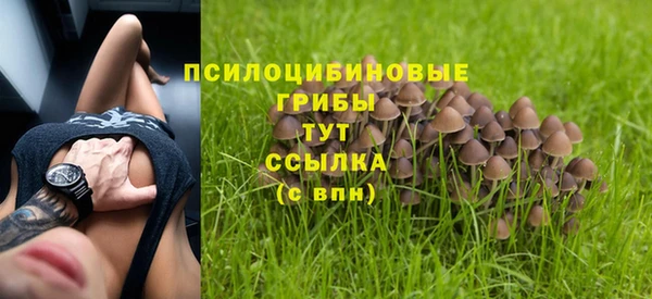 амфетамин Каменка